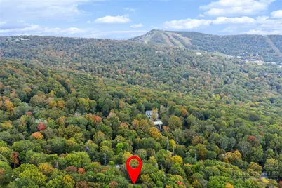 137 Staghorn Hollow Road, Beech Mountain, NC 28604 - Photo 43