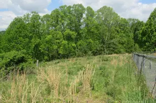 805 Ed Little Rd, Warrensville, NC 28693 - Photo 23