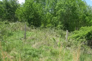 805 Ed Little Rd, Warrensville, NC 28693 - Photo 25