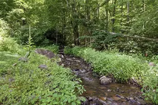 635/634 Little Horse Creek Rd, Newland, NC 28657 - Photo 11