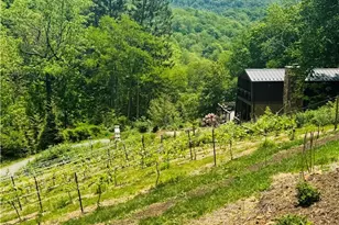 635/634 Little Horse Creek Rd, Newland, NC 28657 - Photo 45