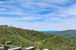 303 Sugar Top Dr, Sugar Mountain, NC 28604 - Photo 39
