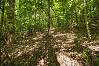 Tbd Twin Rivers Drive, Boone, NC 28607 - Photo 15