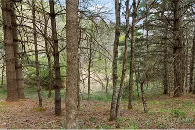 Tbd Highland Ridge Road, Blowing Rock, NC 28605 - Photo 3