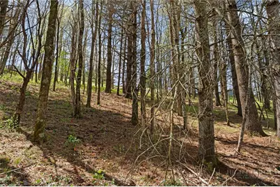 Tbd Highland Ridge Road, Blowing Rock, NC 28605 - Photo 5