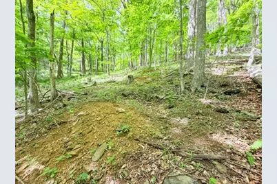 Lot 136 Lauren Lane, West Jefferson, NC 28694 - Photo 5