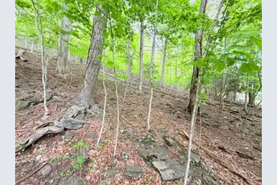 Lot 136 Lauren Lane, West Jefferson, NC 28694 - Photo 3