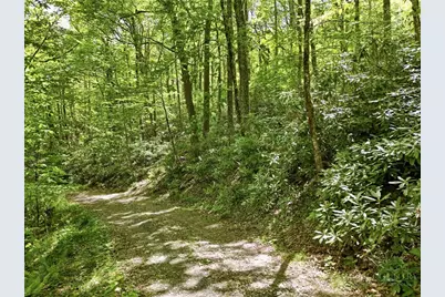 Lot #25 Snow Ridge Road, Banner Elk, NC 28604 - Photo 3