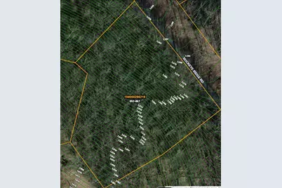 Lot 3 Buckeye Ridge Road, Beech Mountain, NC 28604 - Photo 5