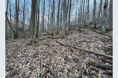 Lot 3 Buckeye Ridge Road, Beech Mountain, NC 28604 - Photo 3