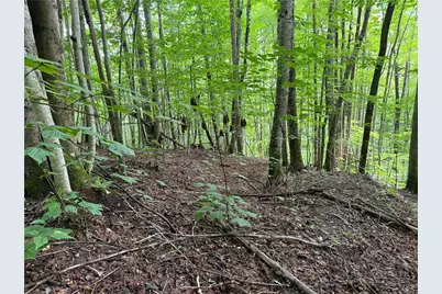 Lot 3 Buckeye Ridge Road, Beech Mountain, NC 28604 - Photo 1