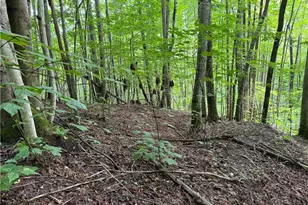 Lot 3 Buckeye Ridge Rd, Beech Mountain, NC 28604 - Photo 1