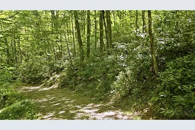 Lot #28 Snow Ridge Road, Banner Elk, NC 28604 - Photo 3