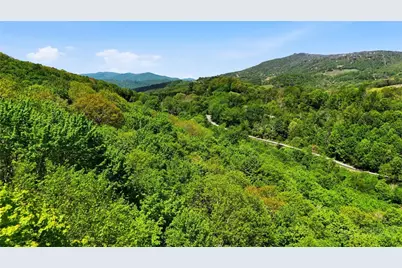 Lot #31 Snow Ridge Road, Banner Elk, NC 28604 - Photo 3