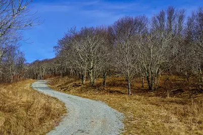Tract 1 Spur Lane, Beech Mountain, NC 28604 - Photo 19