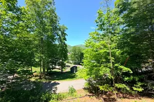 178 Mt Jefferson Ln, Jefferson, NC 28640 - Photo 19