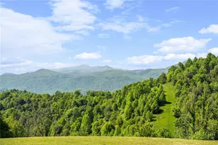 962 Hawks Roost Trail, Vilas, NC 28692 - Photo 47