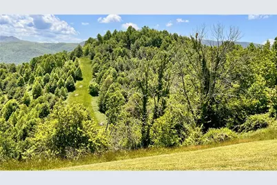 962 Hawks Roost Trail, Vilas, NC 28692 - Photo 21