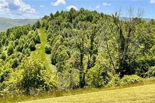 962 Hawks Roost Trail, Vilas, NC 28692 - Photo 21