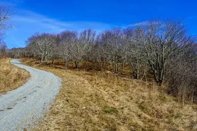 2 Acre Spur Lane, Beech Mountain, NC 28604 - Photo 17
