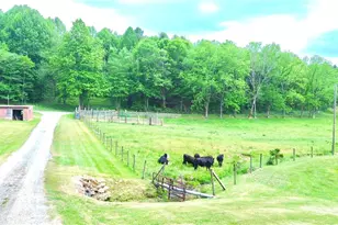 1315 Irwin Grocery Rd, Laurel Springs, NC 28644 - Photo 21