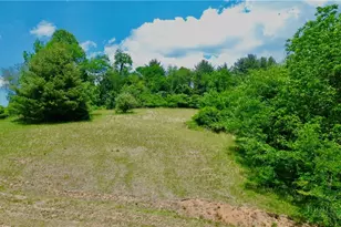 1315 Irwin Grocery Rd, Laurel Springs, NC 28644 - Photo 17