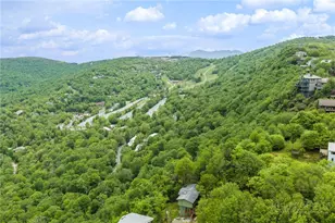 104 Mockingbird Ln, Beech Mountain, NC 28604 - Photo 3