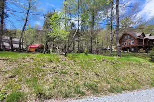 112 Foxgrape Hollow, Beech Mountain, NC 28604 - Photo 1