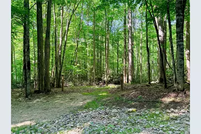 Lot 5A Buckeye Ridge Road, Beech Mountain, NC 28604 - Photo 3