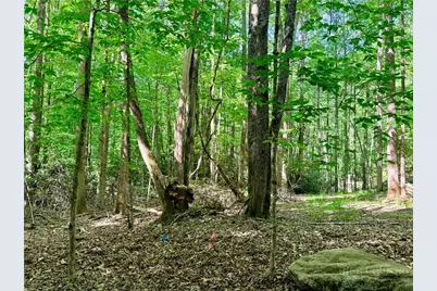 Lot 5A Buckeye Ridge Road, Beech Mountain, NC 28604 - Photo 5