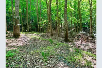 Lot 5A Buckeye Ridge Road, Beech Mountain, NC 28604 - Photo 9