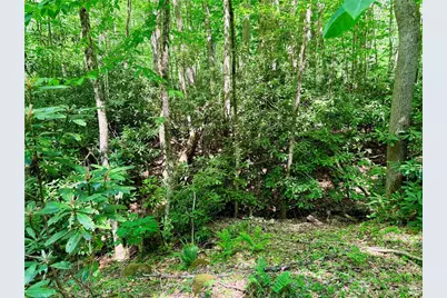 Lot 5A Buckeye Ridge Road, Beech Mountain, NC 28604 - Photo 13