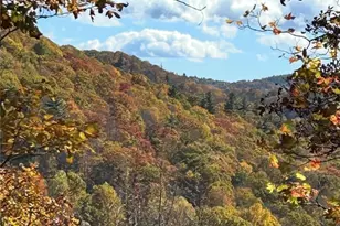 265 Mine Branch Rd, Blowing Rock, NC 28605 - Photo 45