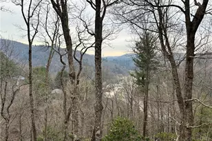 265 Mine Branch Rd, Blowing Rock, NC 28605 - Photo 3