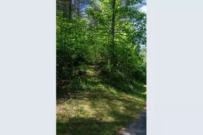 000 Narrow Gauge Drive #18, Lenoir, NC 28611 - Photo 3