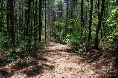 000 Narrow Gauge Drive #18, Lenoir, NC 28611 - Photo 11