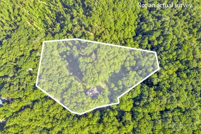 2229 Elk Ridge Road, Ferguson, NC 28624 - Photo 7
