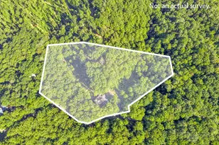 2229 Elk Ridge Rd, Ferguson, NC 28624 - Photo 7