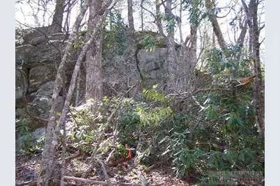 Lot #21 Scaley Bark Lane, Boone, NC 28607 - Photo 3