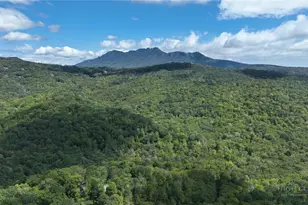 2209 Sugar Mountain 2 Rd, Newland, NC 28657 - Photo 21