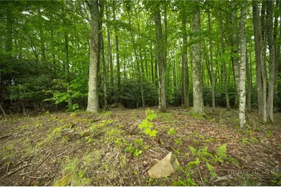 Lot 113 Eagle Park Drive, Banner Elk, NC 28604 - Photo 15
