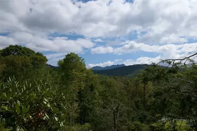 2209/2211 Sugar Mountain 2 Road, Newland, NC 28657 - Photo 3