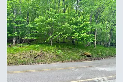 146 Hornbeam Road, Beech Mountain, NC 28604 - Photo 13