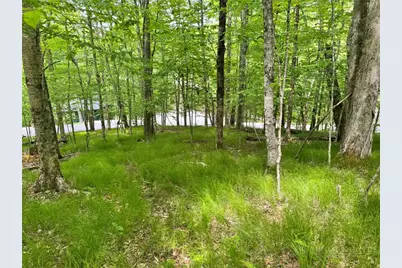 146 Hornbeam Road, Beech Mountain, NC 28604 - Photo 11