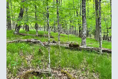 146 Hornbeam Road, Beech Mountain, NC 28604 - Photo 3