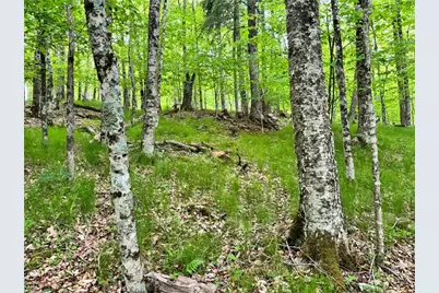 146 Hornbeam Road, Beech Mountain, NC 28604 - Photo 9