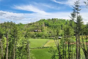 149 River Spring Rd, Sugar Grove, NC 28679 - Photo 11