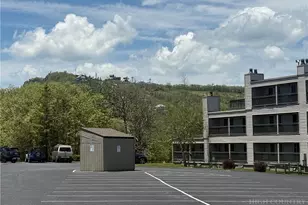 301 Pinnacle Inn Rd, Beech Mountain, NC 28604 - Photo 19