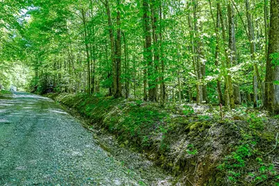 Tbd Buckeye Ridge Road, Beech Mountain, NC 28604 - Photo 3