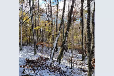 1026 Charter Hills (Plus Tract 2) Road, Beech Mountain, NC 28604 - Photo 11